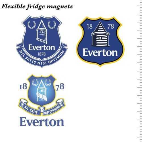 11pcs flexible fridge magnets Everton Fc history logo