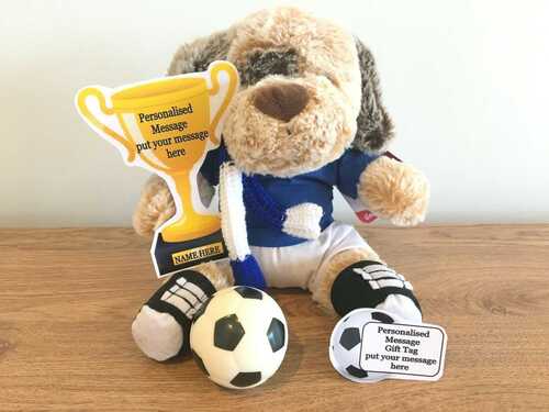 PERSONALISED EVERTON  KIT COLOURS FOOTBALL TEDDY BEAR PLUSH DOG, KIT, SCARF GIFT