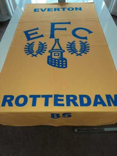 Everton Beach towel